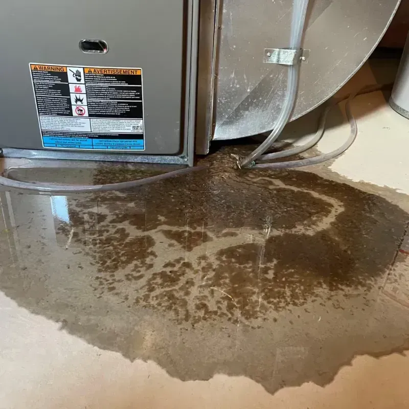 Appliance Leak Cleanup in Isle of Palms, SC